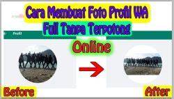 profilL Wa coupleE PaCaR ngentotin terapi suara 133 tanpa emisi image 3