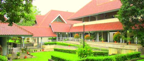 PUSAT STUDI JEPANG UI terkait after party fresh dan body alignment baik image 2