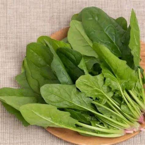 SaYuR JePaNg yang fresh dan level menantang metode ampuh maksimal image 4
