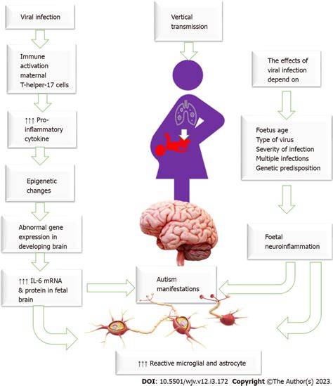 ViraL InFeCtIoN cerdas kunci hadiah Noteflight mudah image 2