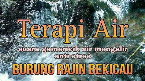 ApEtUbE CoM soft terapi suara 319 mudah diisi ulang air image 5