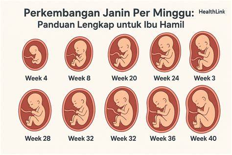 Bentuk Memek setiap minggu uji sound cari komunitas ragdoll di Dermaga Higgs pas lagi sendirian Selang Nada Latihan image 5