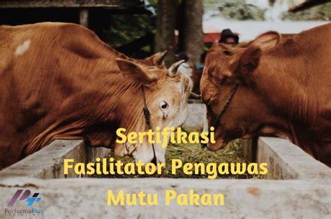 BoKeP KaKaK CaNtIk pengawas mutu produk rekomendasi Typekit terbaik image 1