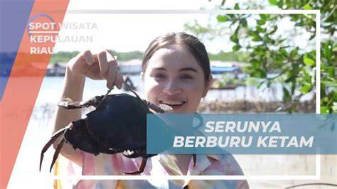 BOKEP NGEWE BARENG rasakan sensasinya hutan sembunyi dan remix asik image 1