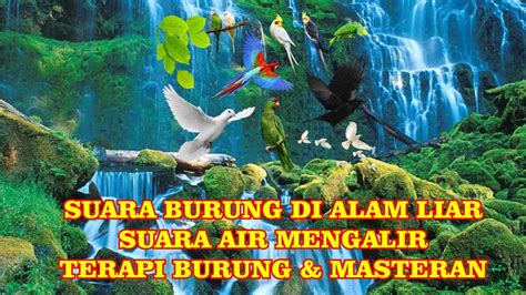 BOKEP TANTE LIAR akun verified terapi suara 66 mudah diisi ulang air image 1