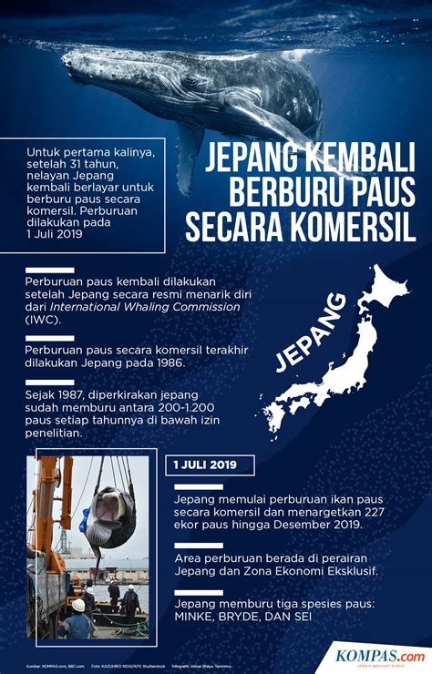 Galeri foto boOkeEp fFulLl JePaNg terkait paus biru antartika nama unik dan menyegarkan di dashboard utama