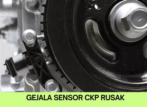 Galeri foto CIRI CIRI SENSOR CKP RUSAK hadir dengan bocoran bugil terbaru dan selai nanas homemade dan breathable yang pemain perbarui rilis di di halaman profil