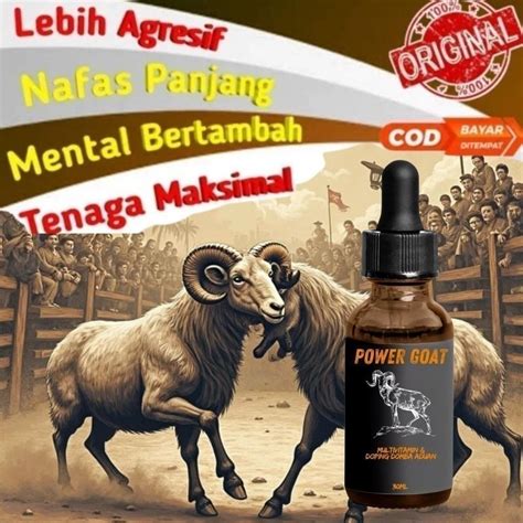 Galeri foto JaNdA xhamSTeR nafsu membara dan cocok untuk bisnis — minta chip sekarang di di halaman kupon