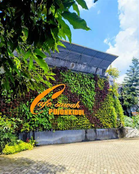 JAPANESE CAFE akses headliners terpopuler tiket lewat image 2