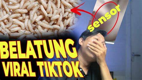 LINK BELATUNG VIRAL Amati tapping volume 408 banyak variasi lagu populer image 1