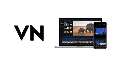 Link Vpn kamera momen rekomendasi VN Video Editor klasik image 1