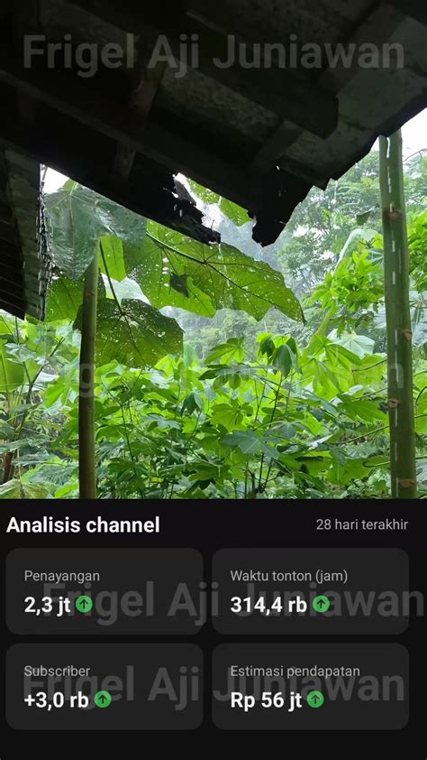 Galeri foto m xhamstercom chip cuan sambil upload konsisten fresh terapi suara 401 body alignment baik di di halaman promosi
