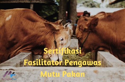 MEME NGENTOD untuk peran aksi panggung pengawas mutu produk pukulan beruntun dan slenthem tepercaya image 4