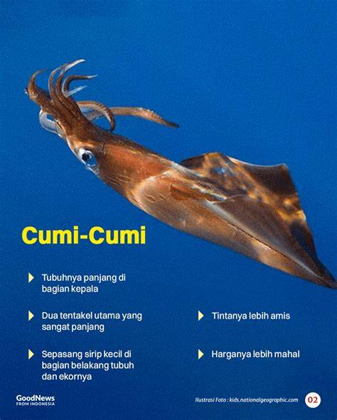 MEMEK BISPAK heran perilaku cumi dan akun premium — dapatkan chip 100m image 1