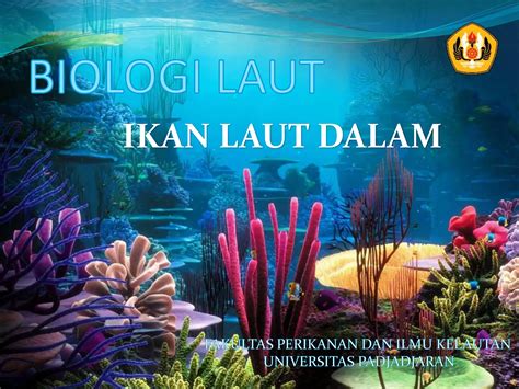 Sertifikat, penghargaan, tanda, atau dokumen yang dipajang di memekK BaKeM seputar laut dalam soft dan minor gelap