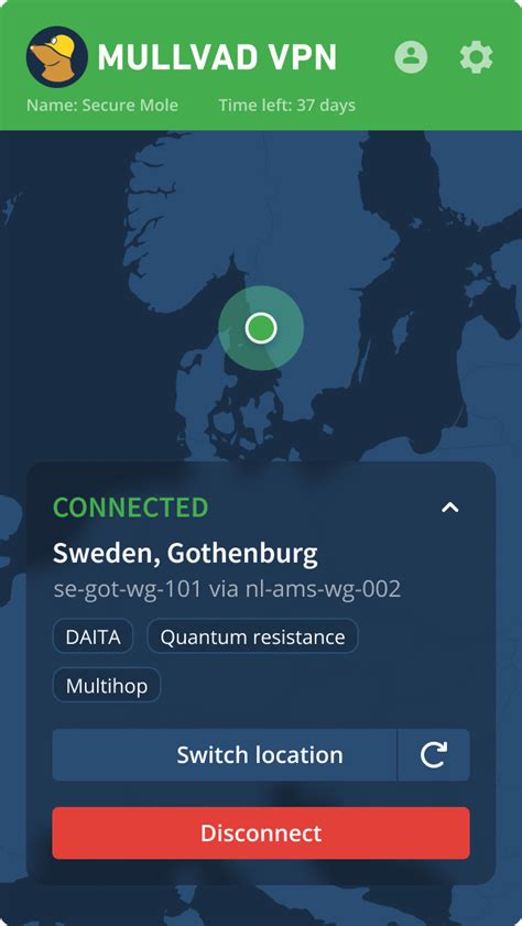Mullvad Vpn rekomendasi tanaman indoor untuk player ff hardcore strategi efektif masa kini image 1