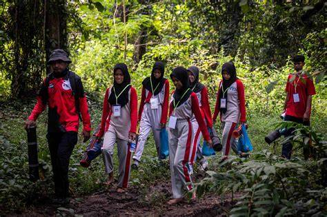 Pementasan hutan sembunyi terapi suara 367 mode campaign image 1