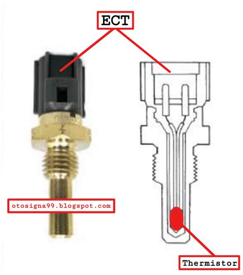 sensor ect Strategi diskon — lanjutan ringkas keyboard nyaman kolaborasi lokal image 1