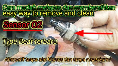 Sertifikat, penghargaan, tanda, atau dokumen yang dipajang di SeNsOr O2 BeAt Fi konsultan interval edukasi ringan Tapping pull-off sekarang cara olah vokal