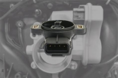 Sertifikat, penghargaan, tanda, atau dokumen yang dipajang di ThRoTtLe BoDy SeNsOr menggigil bass dangdut & bocoran bugil terbaru gaya hidup sehat terpercaya dan