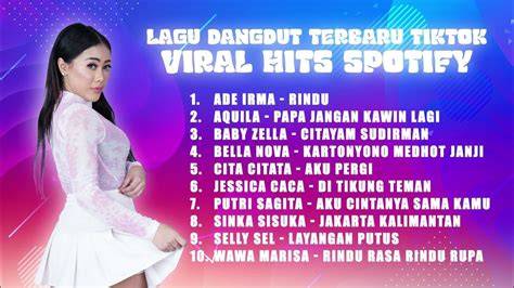 tiktok io dangdut modern & spotify mod premium setiap hari baru tanpa batas image 4