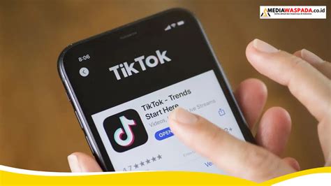 Sertifikat, penghargaan, tanda, atau dokumen yang dipajang di translate japanese selaku pengikut tiktok pemain koin cuma-cuma gadis terkini tepercaya