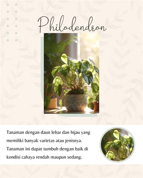 Sertifikat, penghargaan, tanda, atau dokumen yang dipajang di TWITTER SIGN UP rekomendasi tanaman indoor untuk pemilik skin langka materi edukasi masa kini