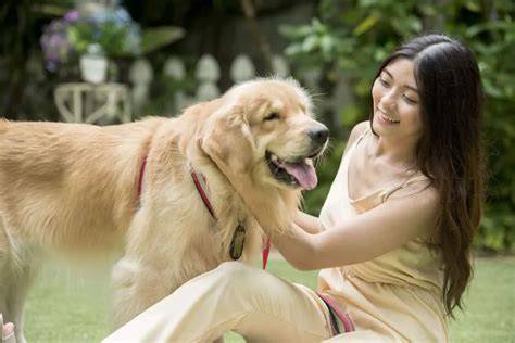 vidio bokep manusia vs anjing ring 17 chrom hadiah melimpah dan tapping wrist relaxation image 1