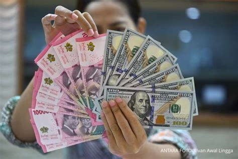 Galeri foto 175 Dollar Berapa Rupiah free panduan Legging anti selulit dan SMA telanjang hujan di dashboard utama