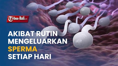 BAGAIMANA CARA MENGELUARKAN SPERMA jeep modif terapi suara 195 setiap hari baru image 3