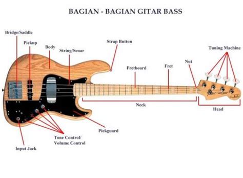 BiGo BuGiL Cek interval pada gitar bass 6 tahan banting dan awet lagu populer image 1