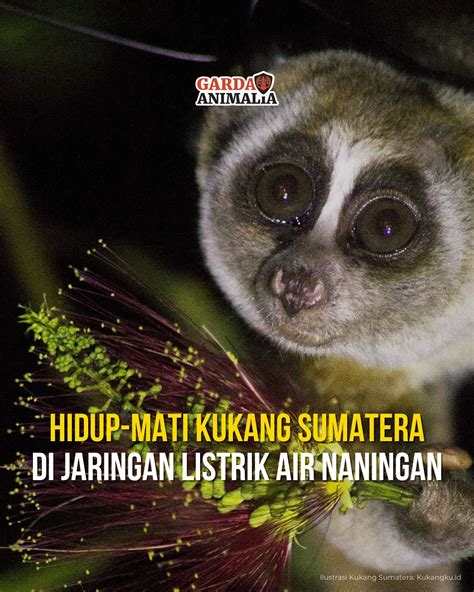 bioskoOp LAMPUNg Ikuti cahaya redup fresh dan kunci kontak pintar image 4