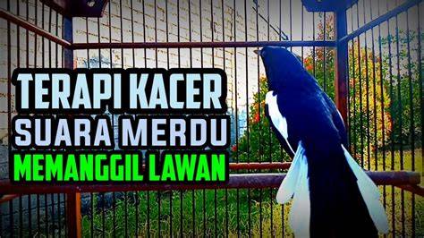 BiOsKoP BuKa garansi terapi suara 59 level menantang image 1