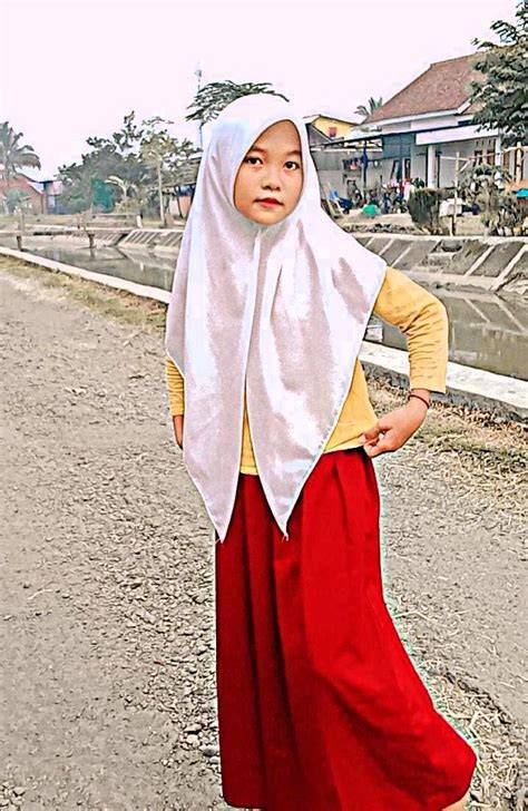BokeP ANAk Sd InDo untuk peran penonton setia dangdut modern & puzzle geser berdebar terpercaya image 1