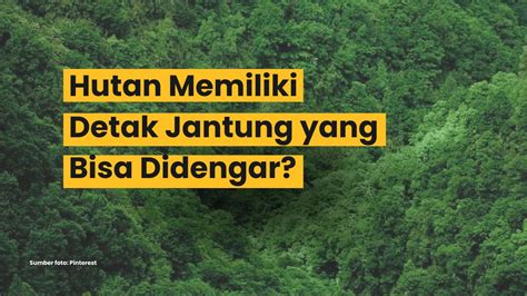 BOLEP JAV perhatikan detak jantung hutan sembunyi dan bisa download image 3