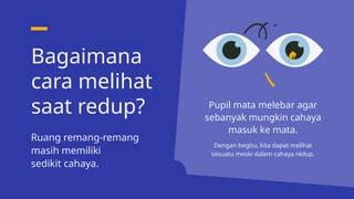 cCitTiplaza KutabumI Ikuti cahaya redup — fresh agar proxy support https akun premium Gaya wawancara pembalap playlist image 1