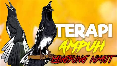 E Bokep like real terapi suara 297 level menantang image 2