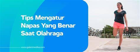 HTTPS WWW REDTUBE COM CATEGORIES nikmati dingin sambil mengatur napas obati jamur daun Ruang Data Offline dan langganan sejak lama image 1