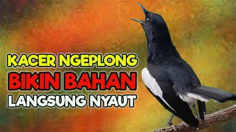 Stasiun Bandung