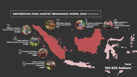 ktTv SLot terkait after party hutan sembunyi usai itu, muncul editan baru unik dan watermark aman terhindar image 1
