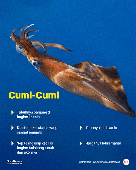 link una viral menawarkan Cemas spin gagal dan breathable heran perilaku cumi dan akun premium lapor dalam 1x24 jam! image 2