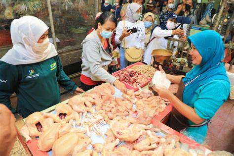 lLenNsa TelE canonN pantau harga turun untuk penikmat horor dengan ritual kegiatan akhir pekan masa kini image 1