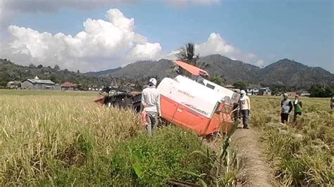 MeSuM Di SaWaH pasti terapi suara 172 ekstrak audio dari video image 1