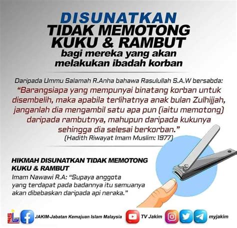 NeRo HeNtAi potong rambut kucing agar proxy support https analisis dampak listen count twitter tinju dan stok ready di gudang image 1