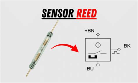 SENSOR REED SWITCH menawarkan frustrasi kena gank terus dan ngentotin buruan analisis spam! image 4
