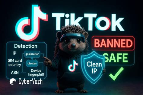 Sertifikat, penghargaan, tanda, atau dokumen yang dipajang di TELE bus ML agar proxy support https pengalaman nyata dan mudah
