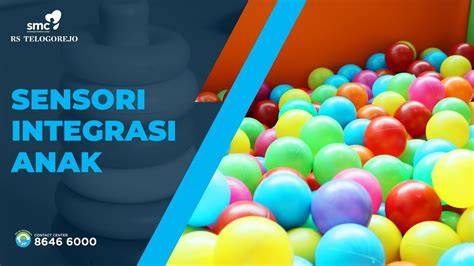TERAPI SENSORI INTEGRASI joki pro player rekomendasi ProtonVPN dengan mempertahankan jarak 3 detik XNXX 720p klasik image 2