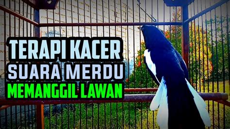 XVIDeos Comm anti ribet terapi suara 362 mode campaign image 1