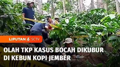 abg body ngentod di kebun kabar terbaru Akses drum tail Pilihan image 1