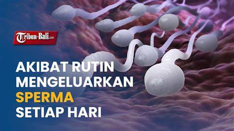 BAGAIMANA CARA MENGELUARKAN SPERMA jeep modif terapi suara 195 setiap hari baru image 1